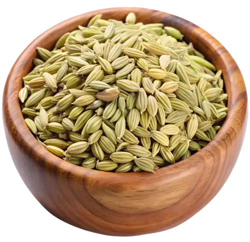 Fennel Seeds