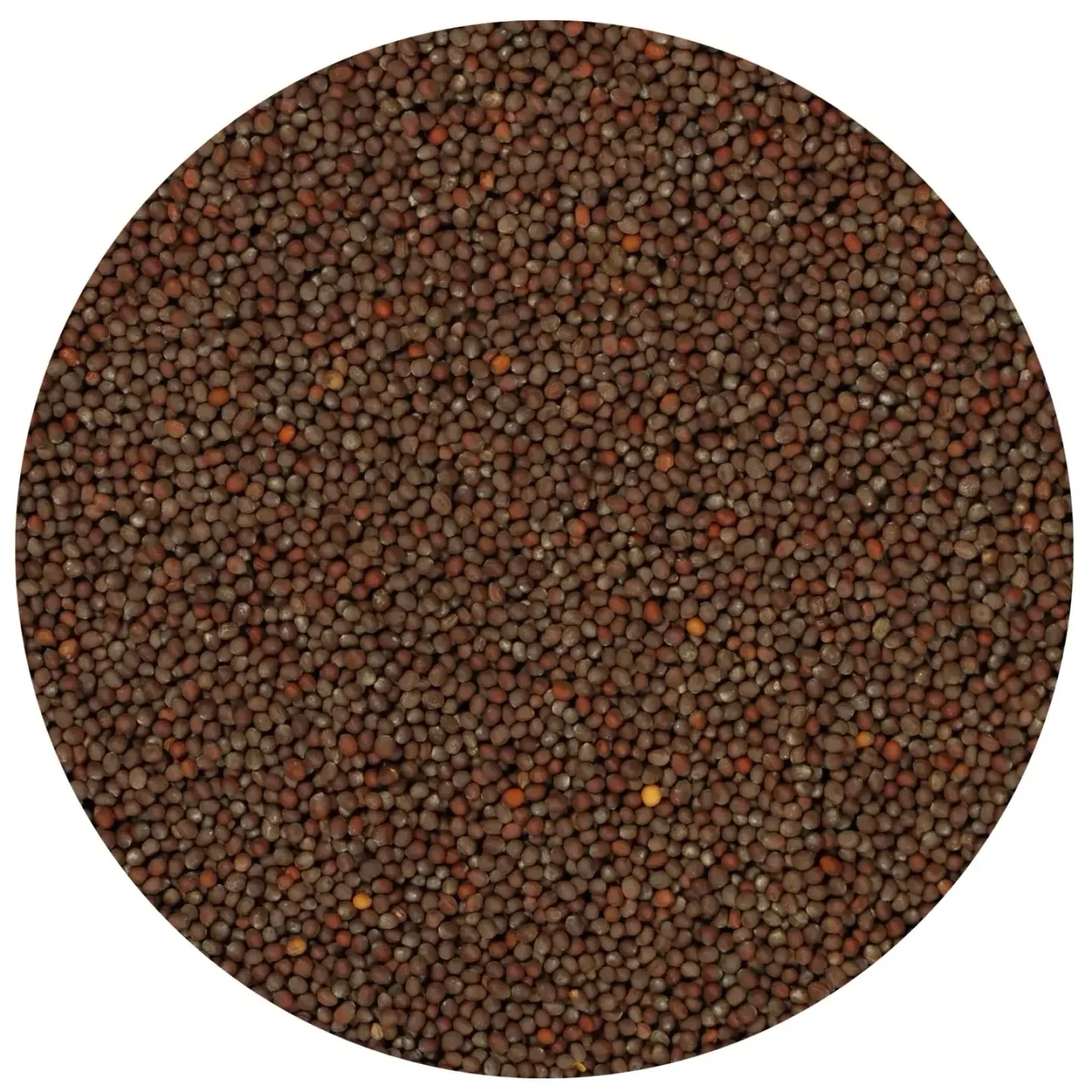 Mustard Seeds