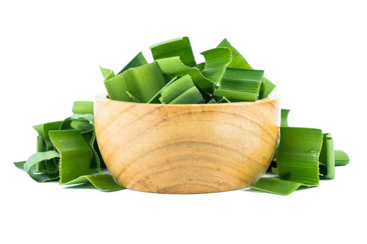 Rampe (Pandan)