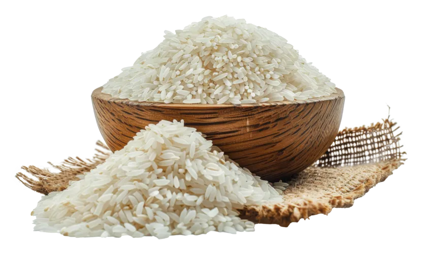 Rice