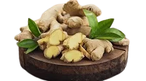 Ginger