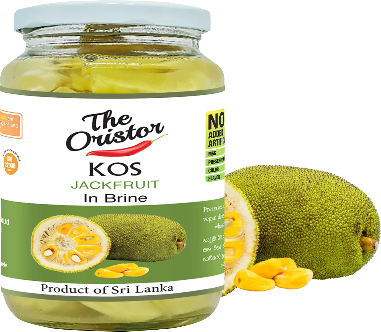 oristor-brine-in-Jackfruit