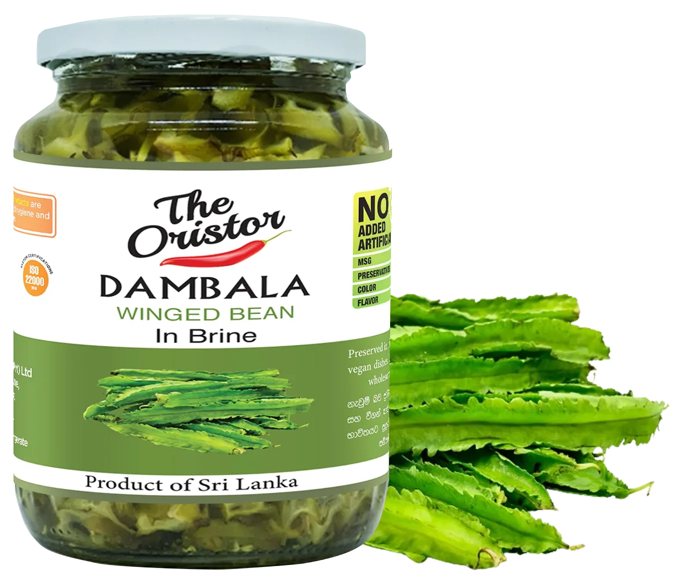 oristor-brine-in-dambala